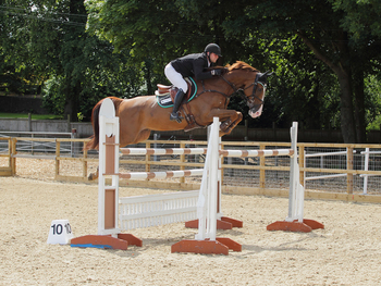 Douglas Duffin & Daniel Moseley Book Places in Horse & Hound Senior Foxhunter Championship